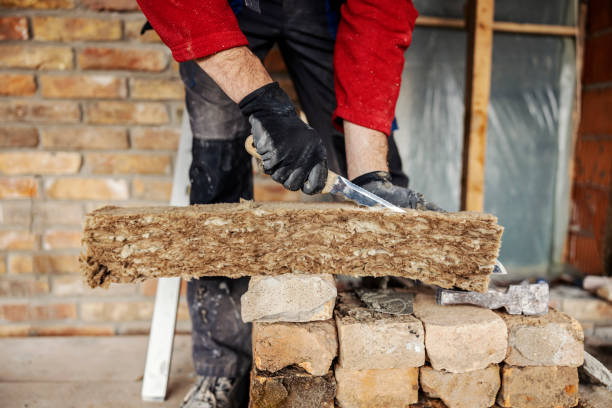 Best Insulation Removal  in Tiger Point, FL