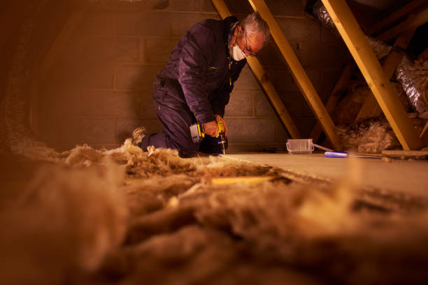 Best Insulation Contractor Near Me  in Tiger Point, FL